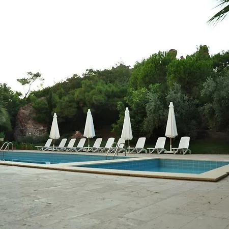 Hotell Palm Court