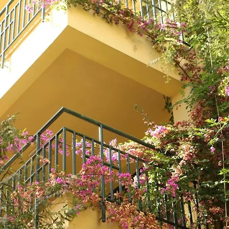 Hotell Palm Court