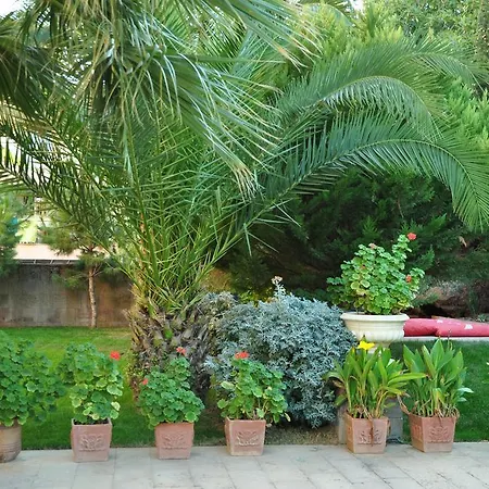 Palm Court 2* Ayvalı
