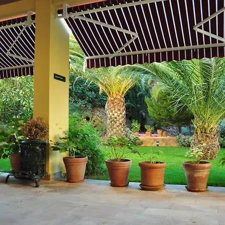 Hotell Palm Court