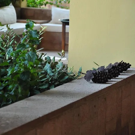 Palm Court 2*