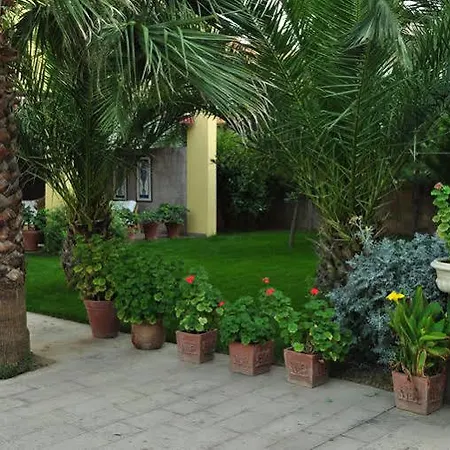 Hotell Palm Court