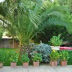 Palm Court 2* Ayvalik