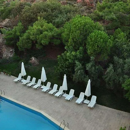 Palm Court