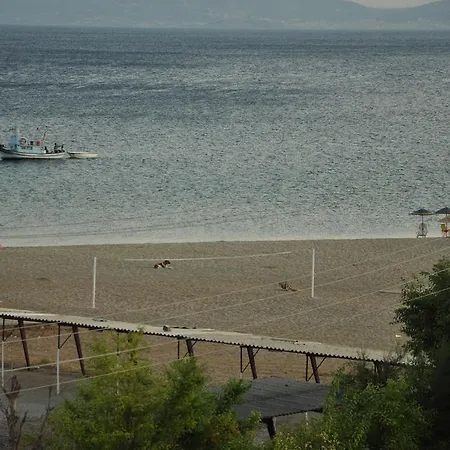 Palm Court Hotel 2*