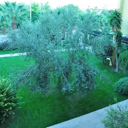 Palm Court Bed and Breakfast