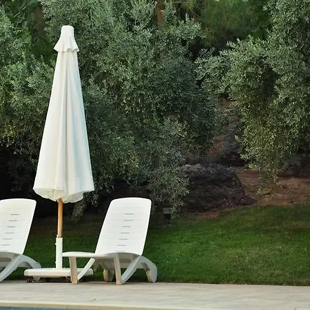 Palm Court Hotell Ayvalı