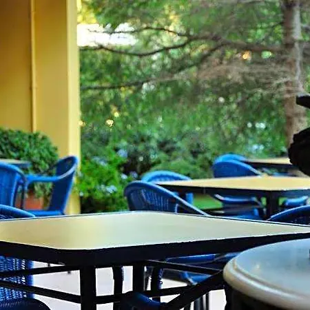 Palm Court Ξενοδοχείο Ayvalı