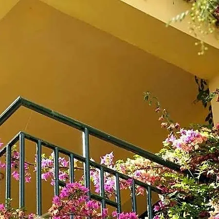 Palm Court 2*