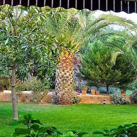 Palm Court 2* Ayvalı