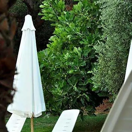 Palm Court Ξενοδοχείο Ayvalı