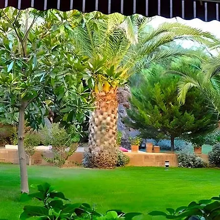 Palm Court Ξενοδοχείο Ayvalı