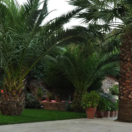 Palm Court Ayvalik