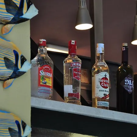 Palm Court Bed and Breakfast