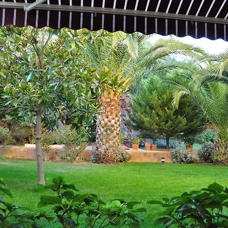 Palm Court Küçükköy