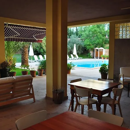 Palm Court Bed and Breakfast 3*