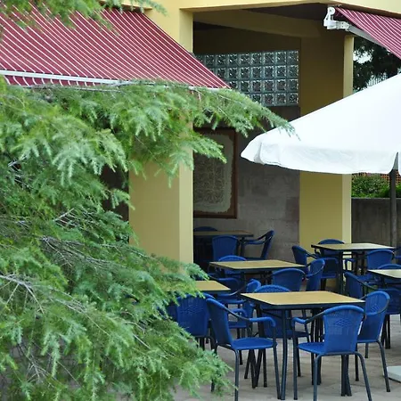 Palm Court Bed and Breakfast